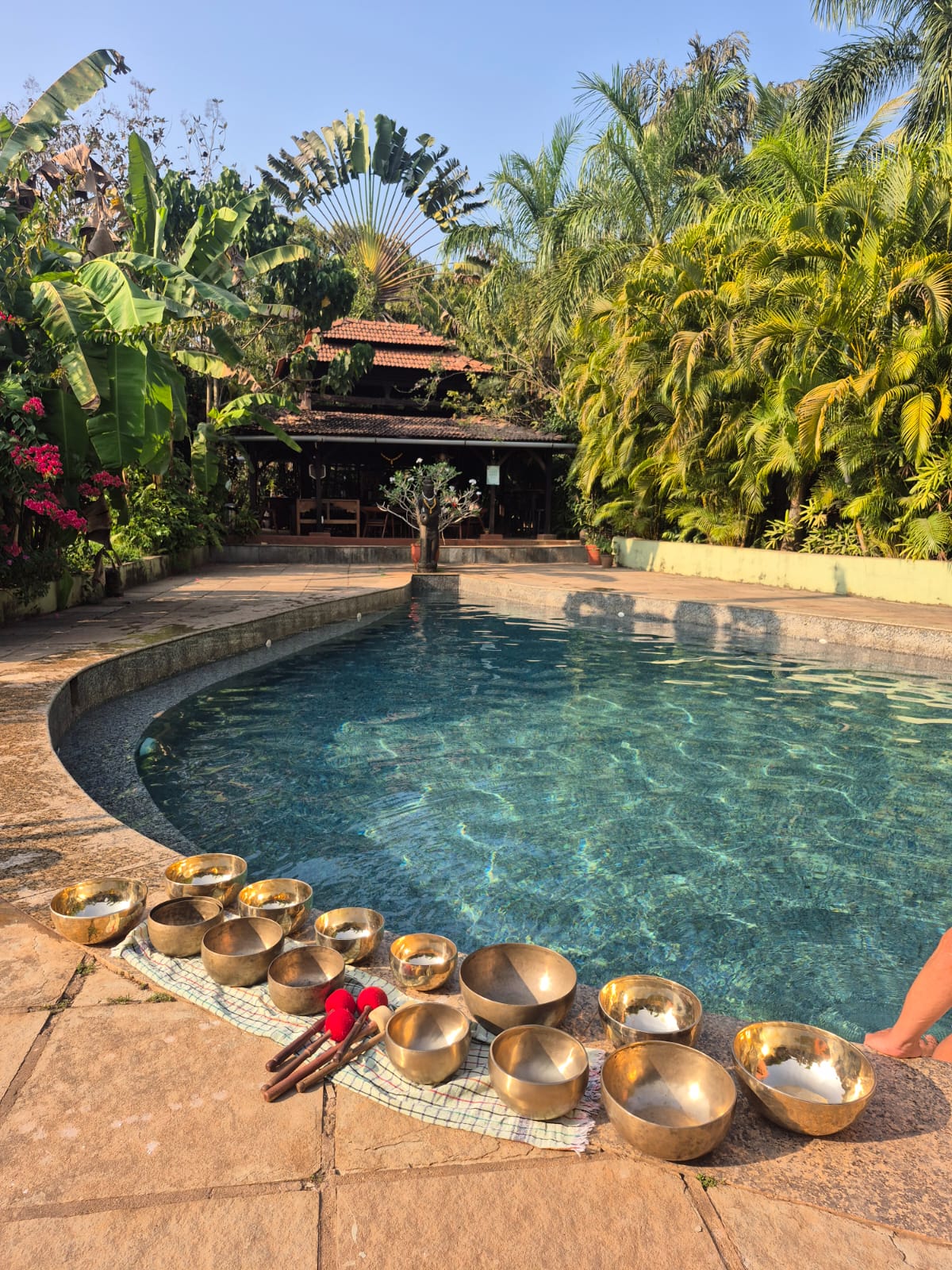 WhatsApp Image 2026-01-18 at 5.48.56 PM (1)